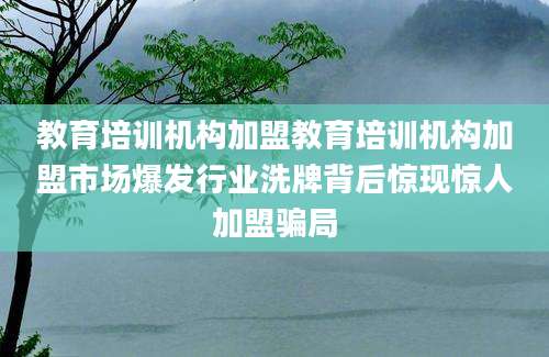 教育培训机构加盟教育培训机构加盟市场爆发行业洗牌背后惊现惊人加盟骗局