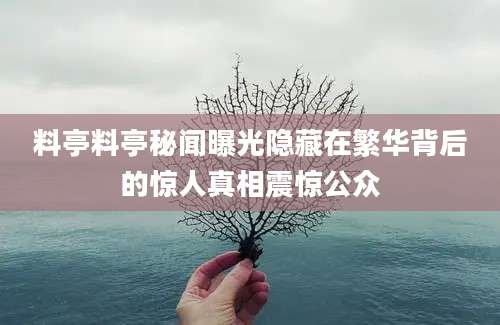 料亭料亭秘闻曝光隐藏在繁华背后的惊人真相震惊公众