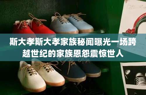 斯大孝斯大孝家族秘闻曝光一场跨越世纪的家族恩怨震惊世人