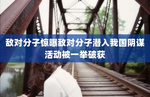 敌对分子惊曝敌对分子潜入我国阴谋活动被一举破获