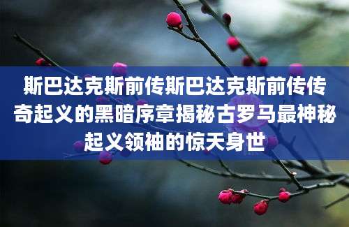 斯巴达克斯前传斯巴达克斯前传传奇起义的黑暗序章揭秘古罗马最神秘起义领袖的惊天身世