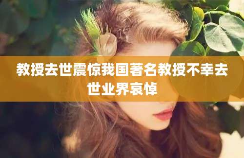 教授去世震惊我国著名教授不幸去世业界哀悼