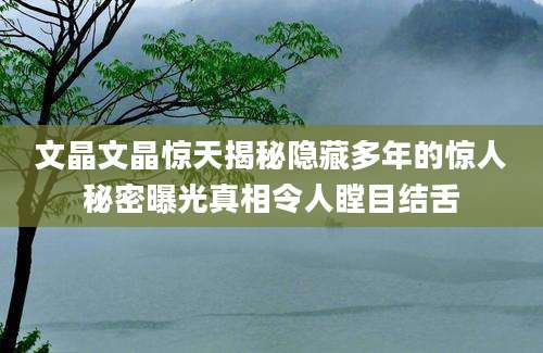 文晶文晶惊天揭秘隐藏多年的惊人秘密曝光真相令人瞠目结舌