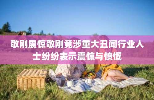 敬刚震惊敬刚竟涉重大丑闻行业人士纷纷表示震惊与愤慨