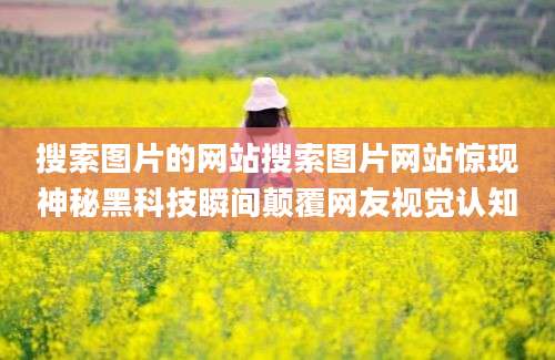 搜索图片的网站搜索图片网站惊现神秘黑科技瞬间颠覆网友视觉认知