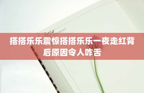 搭搭乐乐震惊搭搭乐乐一夜走红背后原因令人咋舌