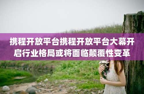 携程开放平台携程开放平台大幕开启行业格局或将面临颠覆性变革
