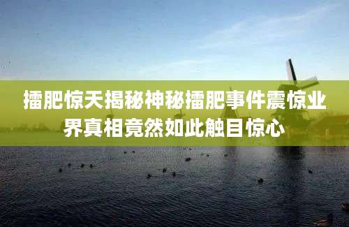 擂肥惊天揭秘神秘擂肥事件震惊业界真相竟然如此触目惊心