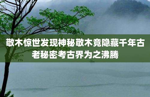 敬木惊世发现神秘敬木竟隐藏千年古老秘密考古界为之沸腾