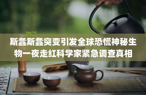 斯螽斯螽突变引发全球恐慌神秘生物一夜走红科学家紧急调查真相