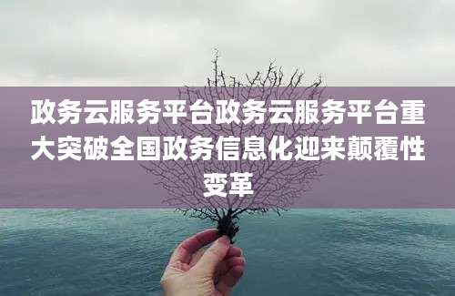 政务云服务平台政务云服务平台重大突破全国政务信息化迎来颠覆性变革