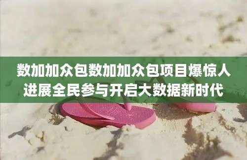 数加加众包数加加众包项目爆惊人进展全民参与开启大数据新时代