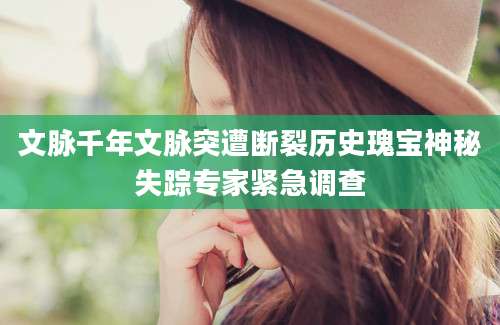 文脉千年文脉突遭断裂历史瑰宝神秘失踪专家紧急调查