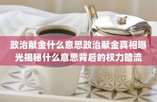 政治献金什么意思政治献金真相曝光揭秘什么意思背后的权力暗流