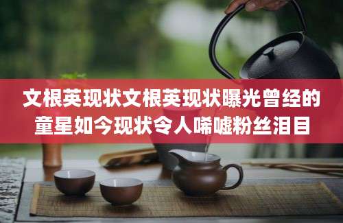 文根英现状文根英现状曝光曾经的童星如今现状令人唏嘘粉丝泪目